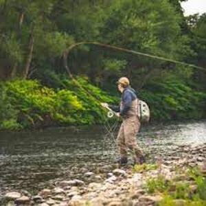 Fishing travel