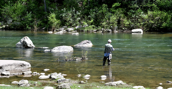 Fly fishing Blackfoot river