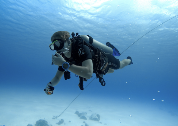 Scuba diving in Islamorada
