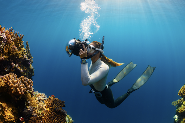 Scuba diving in Islamorada