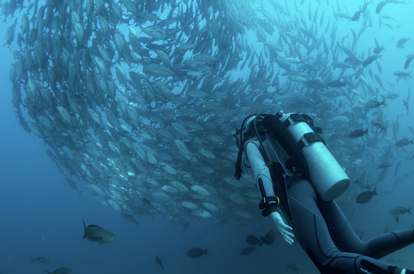 Scuba diving in Islamorada