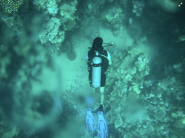 Scuba diving in Islamorada