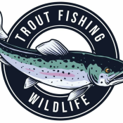 Fly fishing Blackfoot river